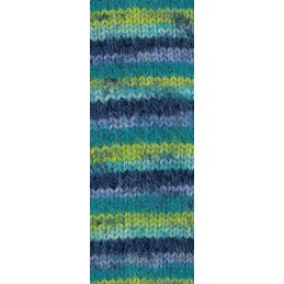 Cosy Socks multi stripes...