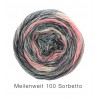 Meilenweit 100 Sorbetto 6252 Lana Grossa pakket(5 bollen)